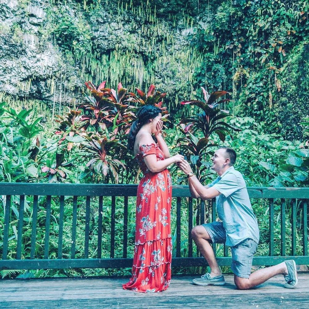 Meet your Posher, Josie